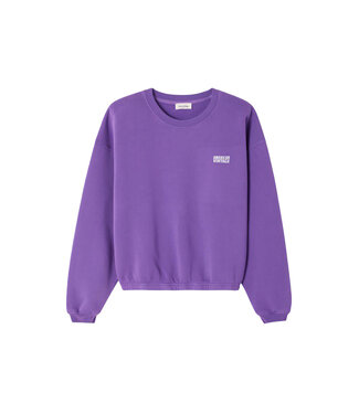 American Vintage Izubird sweater