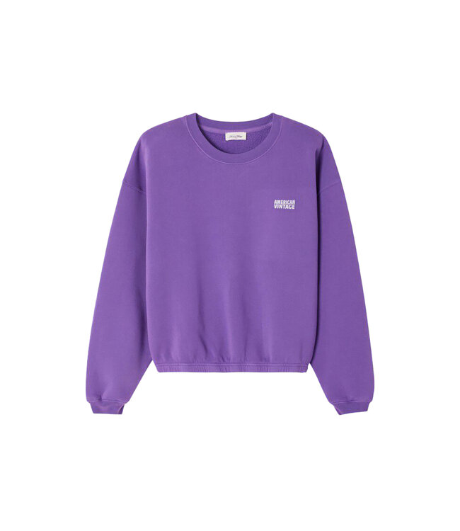 American Vintage Izubird sweater