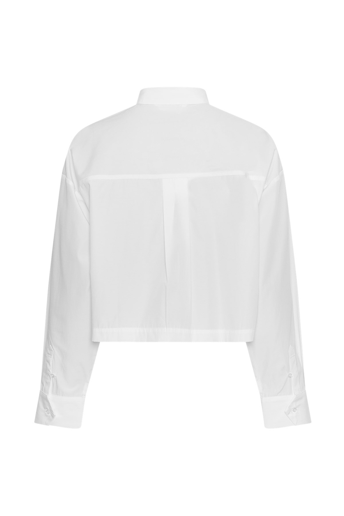 https://cdn.webshopapp.com/shops/223274/files/479214094/file.jpg