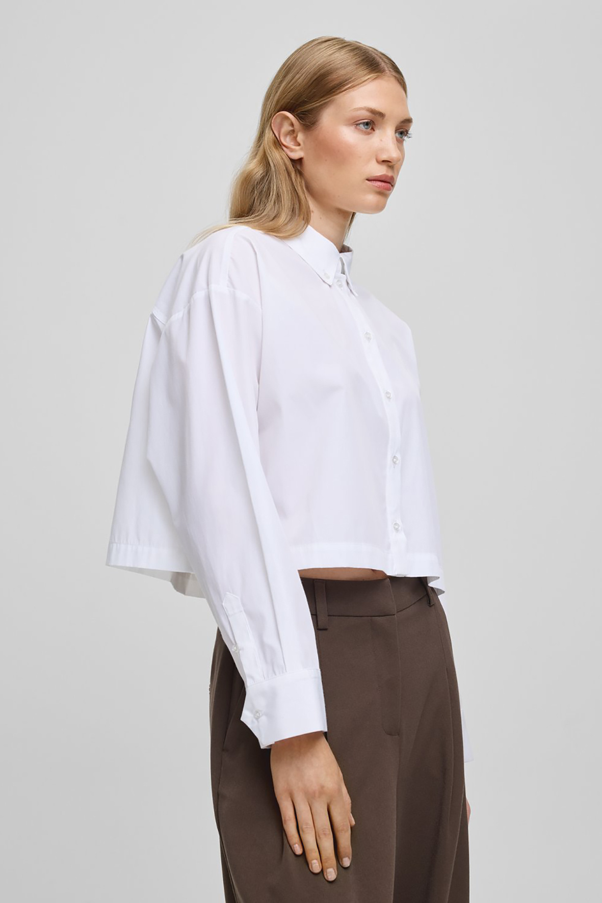 https://cdn.webshopapp.com/shops/223274/files/479214124/file.jpg