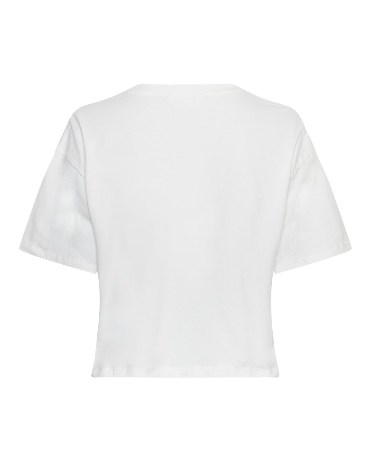 https://cdn.webshopapp.com/shops/223274/files/480050055/file.jpg