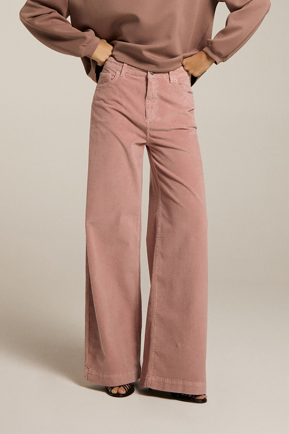 https://cdn.webshopapp.com/shops/223274/files/480149337/file.jpg