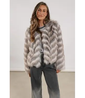Nukus Jacket Lori Zigzag
