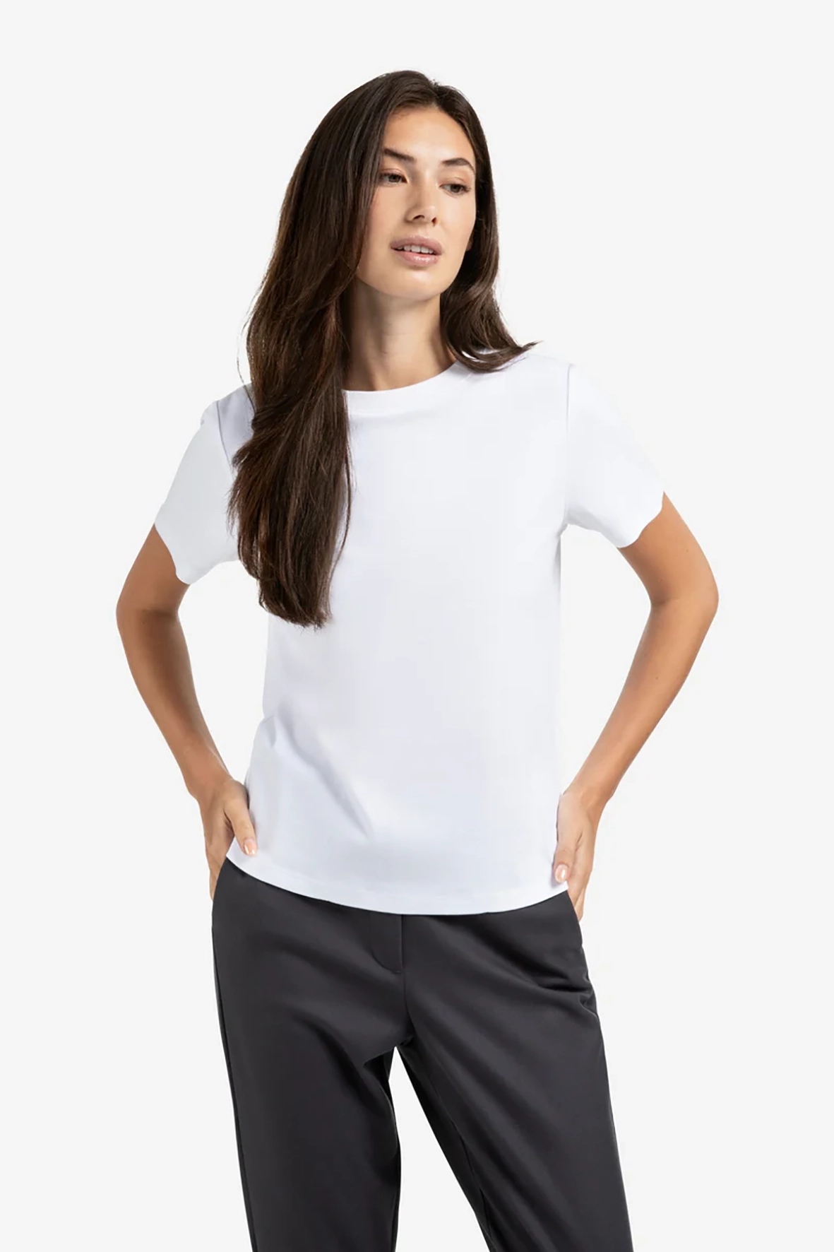 https://cdn.webshopapp.com/shops/223274/files/481185249/file.jpg