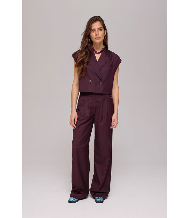 Harper & Yve AW25N104 SADIE broek