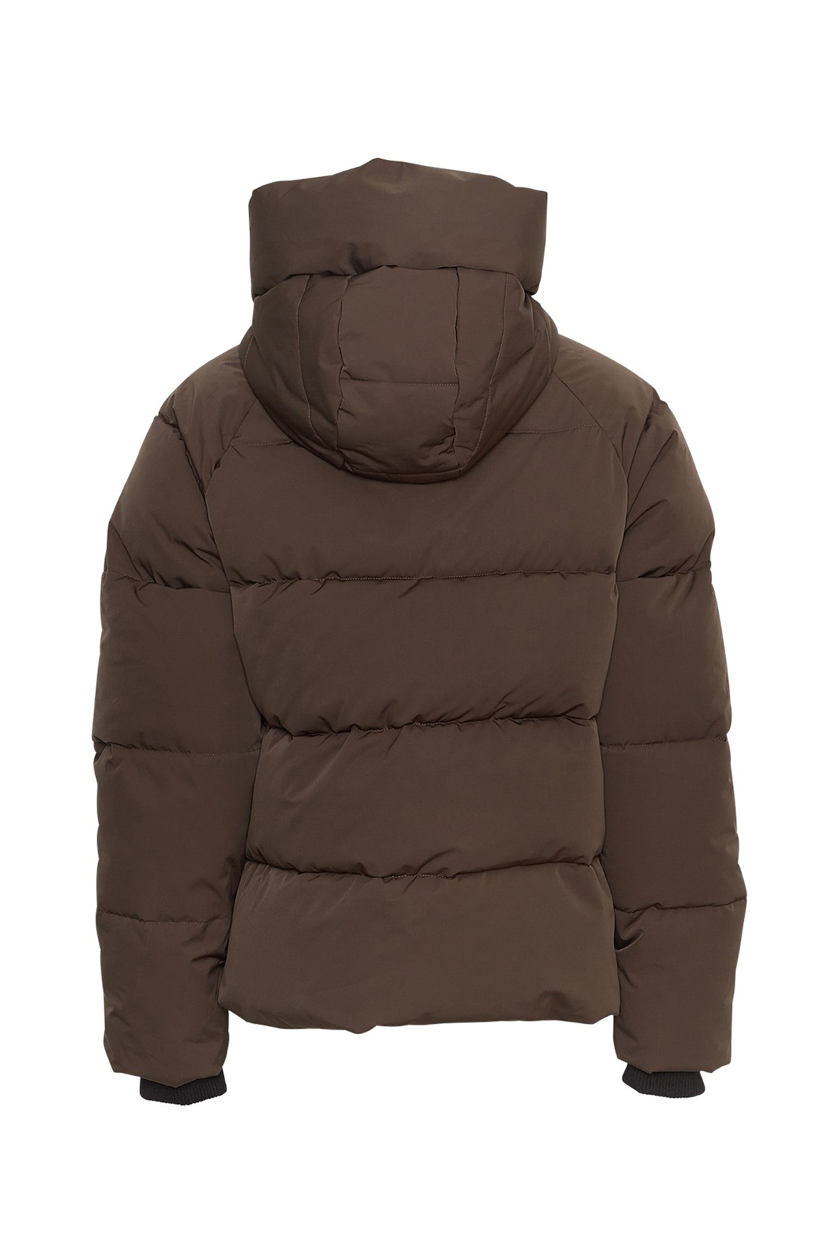 https://cdn.webshopapp.com/shops/223274/files/482737067/file.jpg