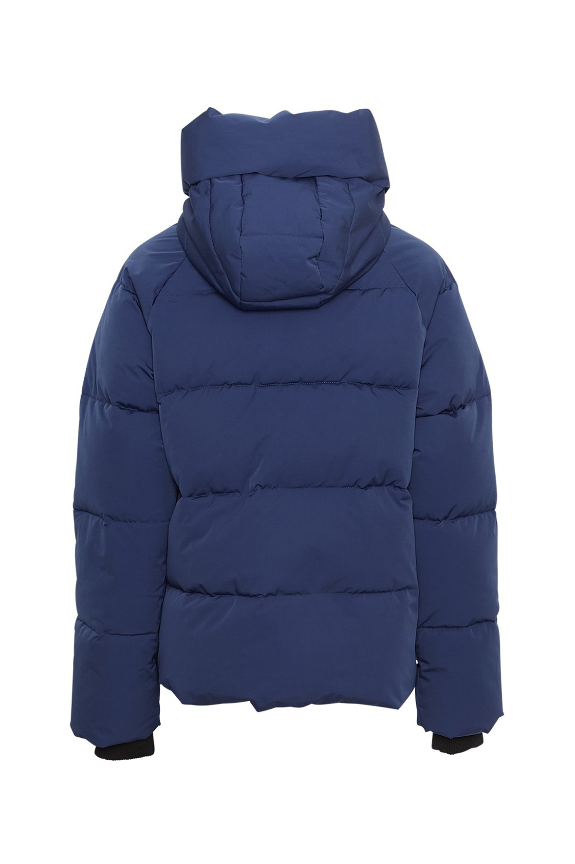 https://cdn.webshopapp.com/shops/223274/files/482743540/file.jpg