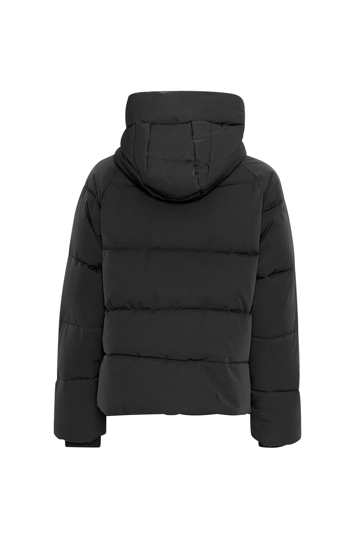 https://cdn.webshopapp.com/shops/223274/files/482768508/file.jpg
