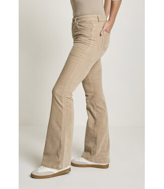 Para Mi Jade broek