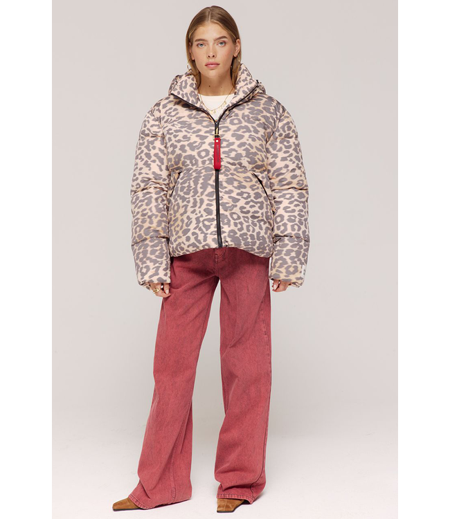 Harper & Yve AW25N211 KARLY