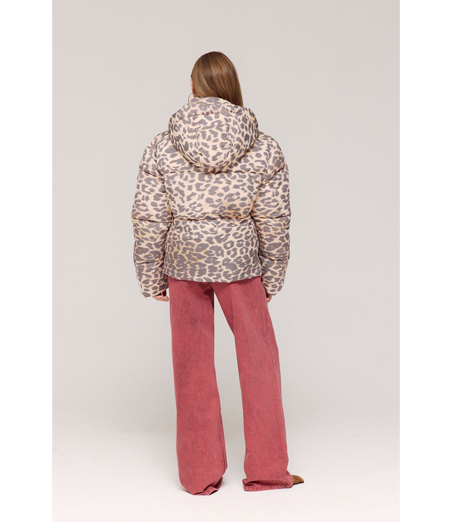 Harper & Yve AW25N211 KARLY