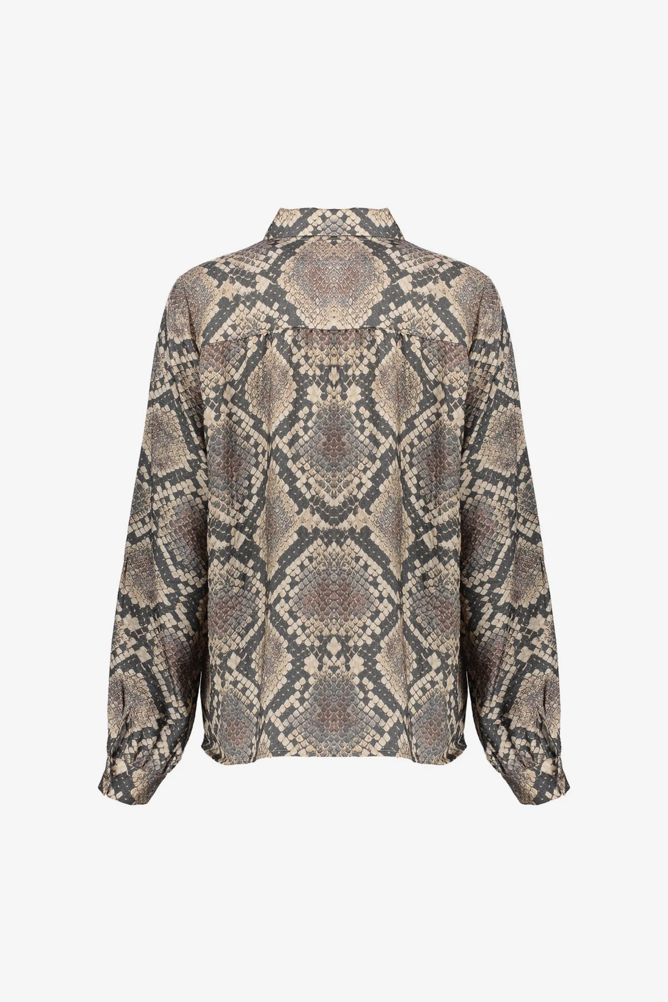 https://cdn.webshopapp.com/shops/223274/files/483811267/file.jpg