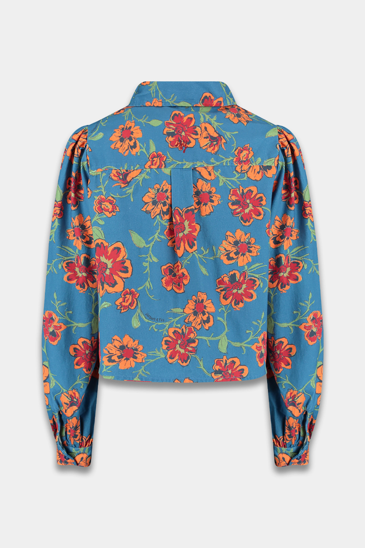 https://cdn.webshopapp.com/shops/223274/files/484017027/file.jpg