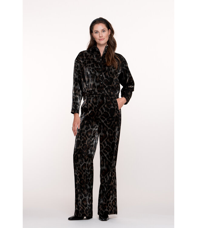 Geisha 55723-20 Jacket animal