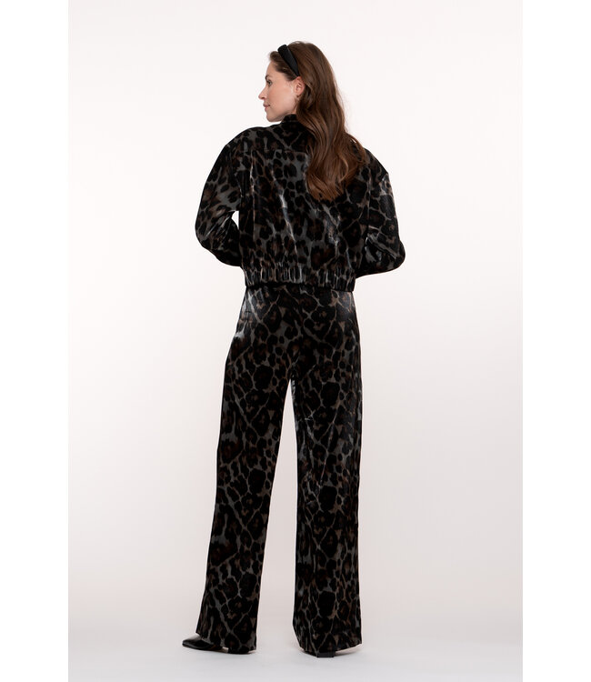 Geisha 55723-20 Jacket animal