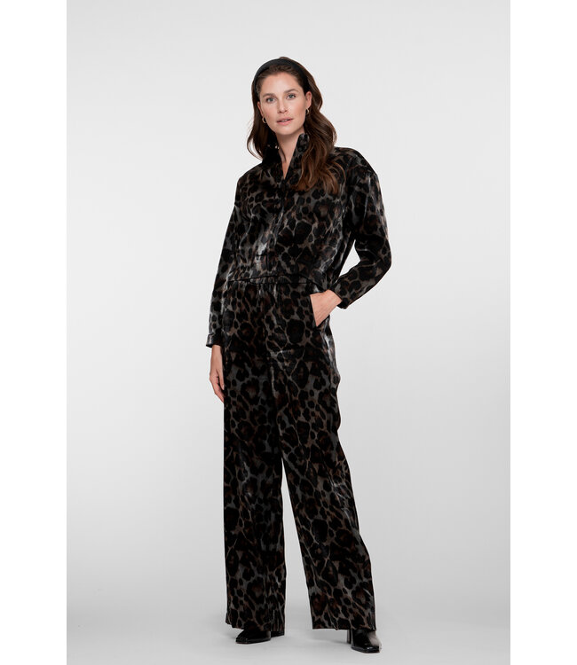 Geisha 51682-20 Pants animal