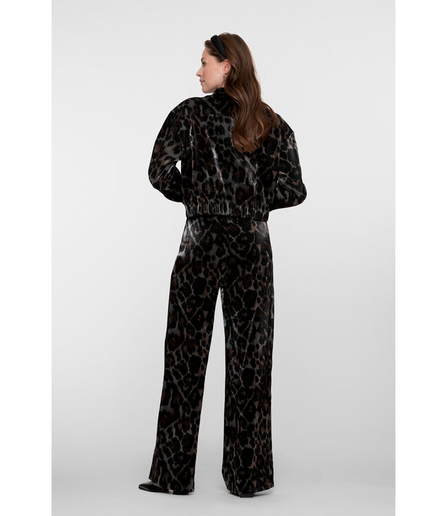 Geisha 51682-20 Pants animal