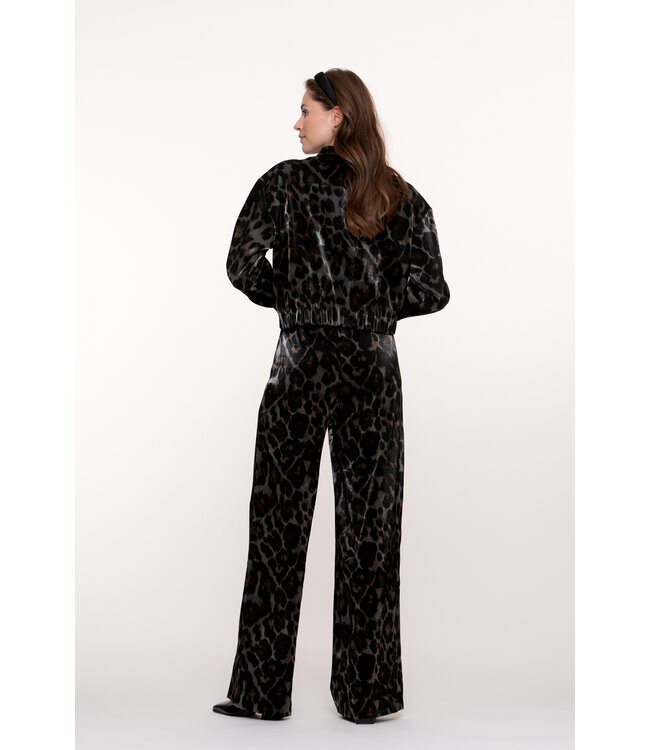 Geisha 51682-20 Pants animal