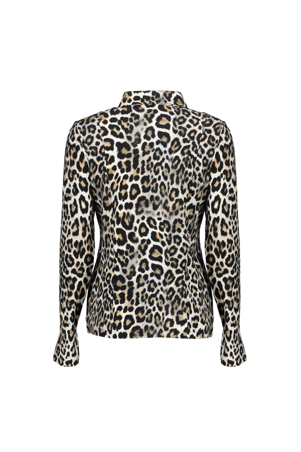 https://cdn.webshopapp.com/shops/223274/files/484453042/file.jpg