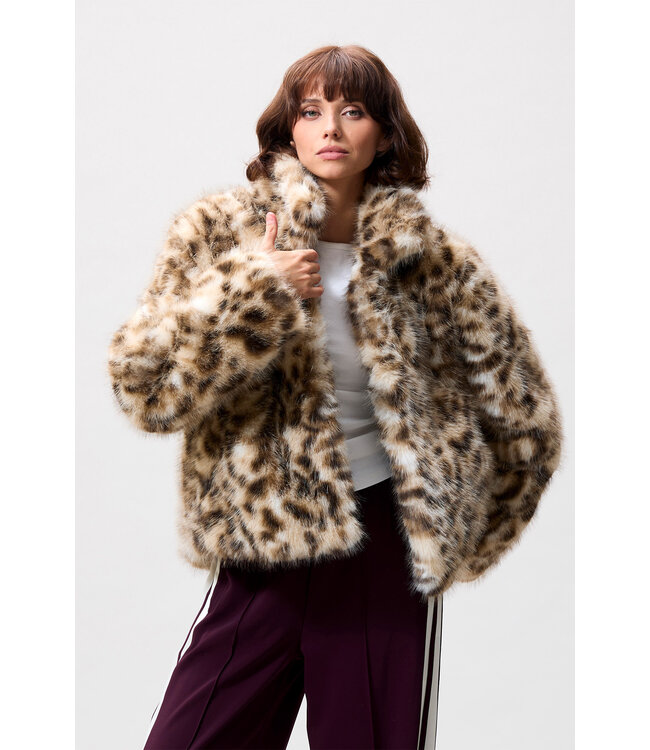 Catwalk Junkie Leopard fur jacket