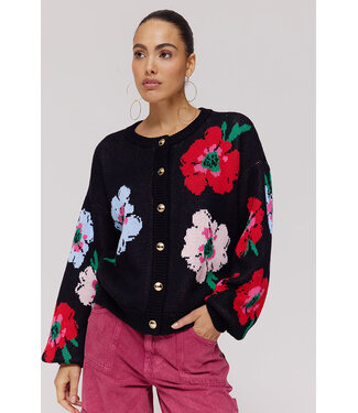 Harper & Yve Vest Jazz