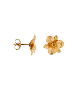 Label Kiki Big flower studs