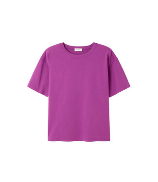 American Vintage Fizvalley t-shirt