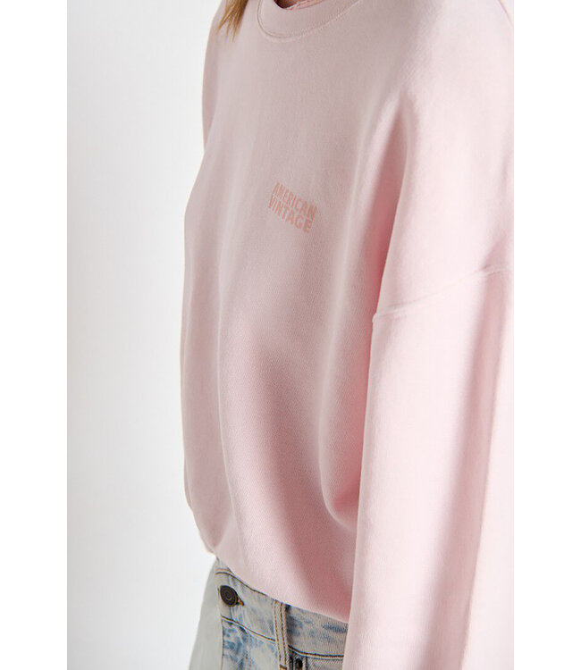 American Vintage Izubird sweater