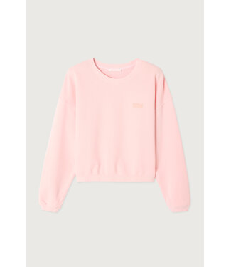 American Vintage Izubird sweater