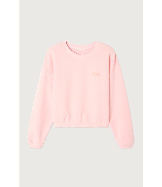 American Vintage Izubird sweater