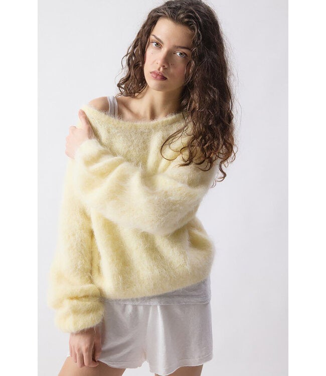 American Vintage Niby trui