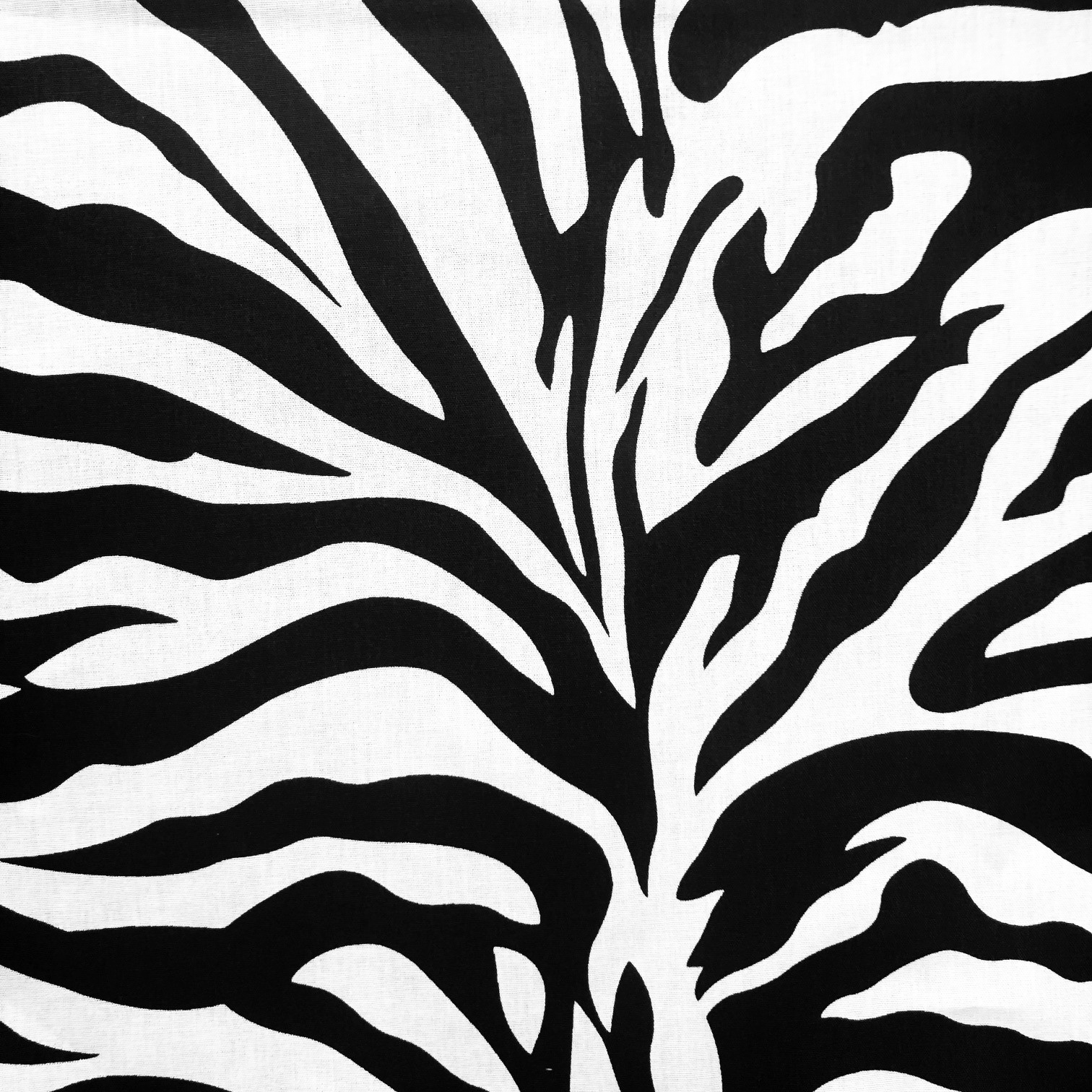 Katoen Zebra Black & White Stoffen Online - Online