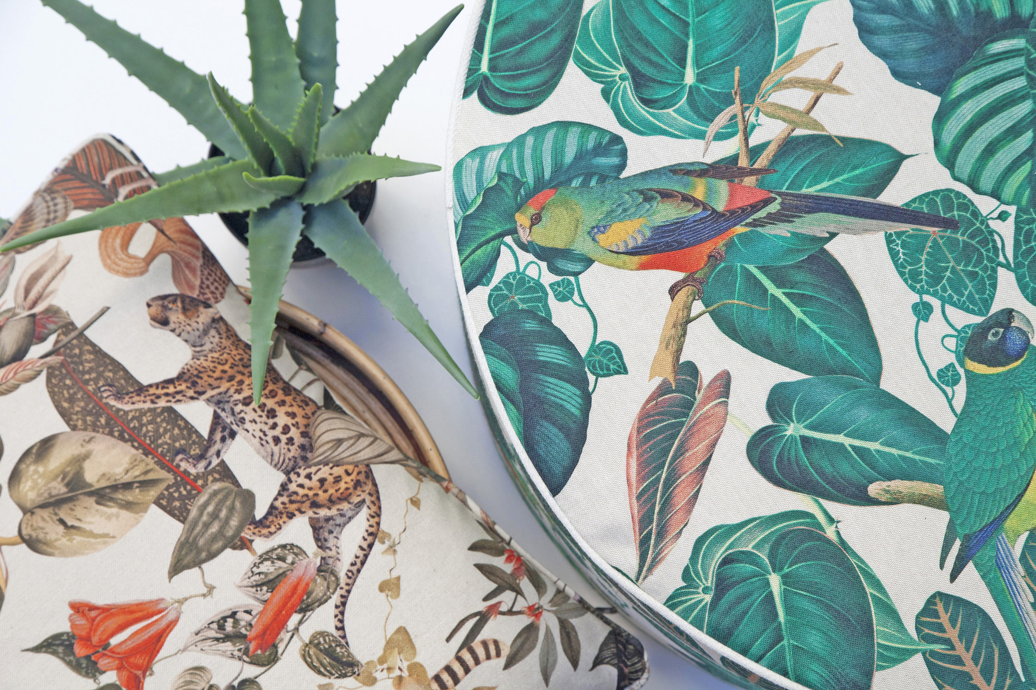 Linenlook Premium Calathea leaves