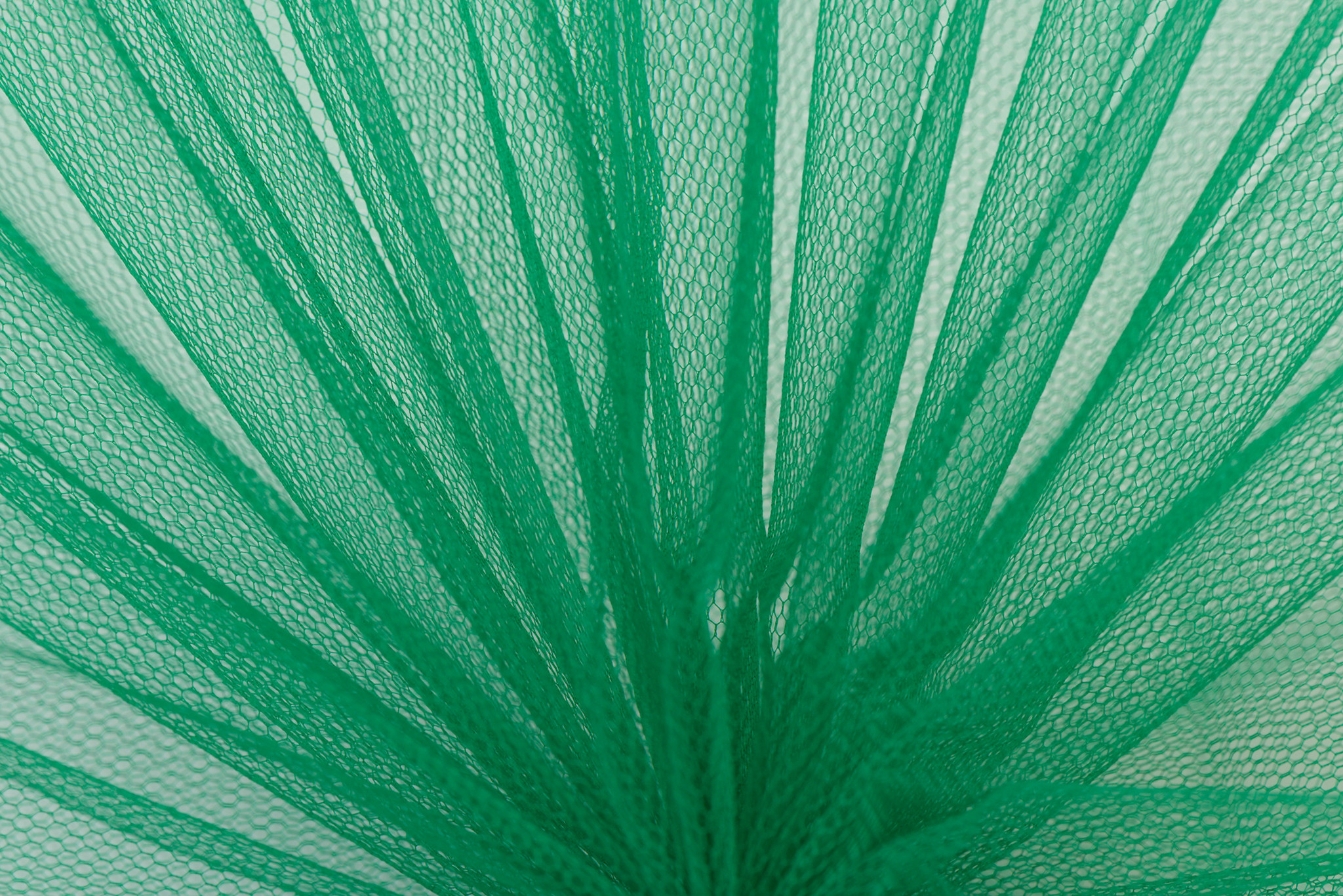 Tule Groen