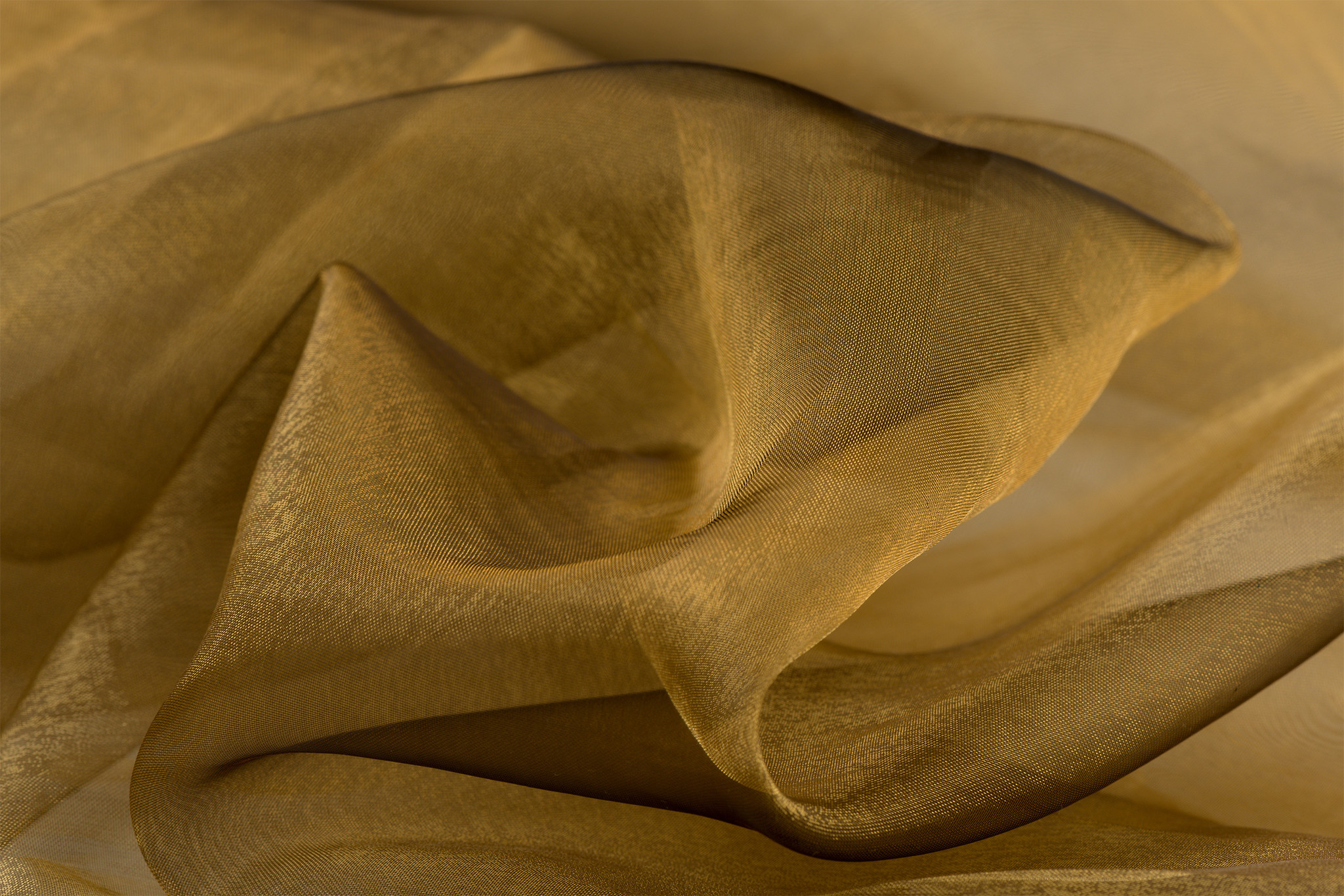 Organza Two-Tone Goud