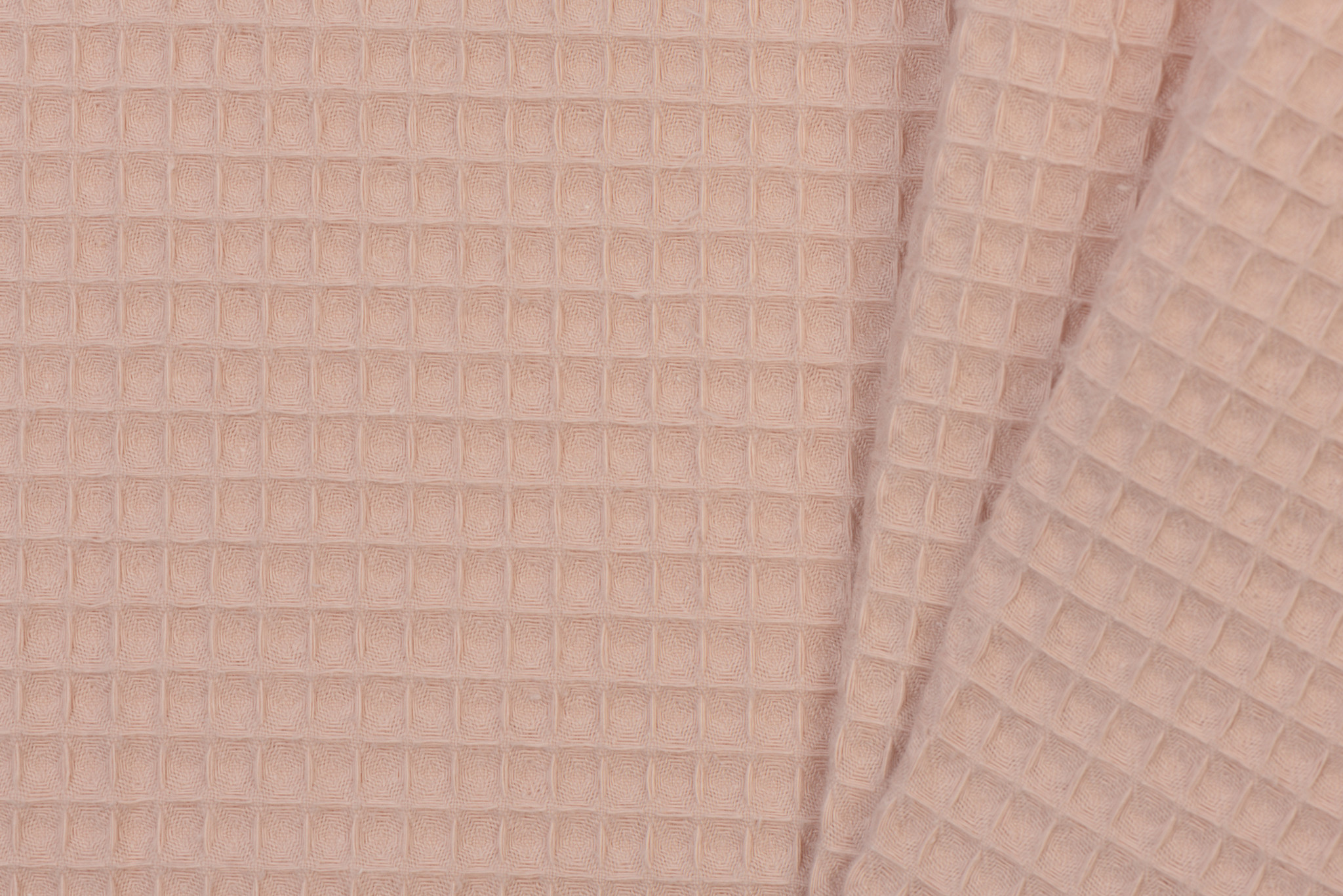 Wafel Katoen, Nude Rose