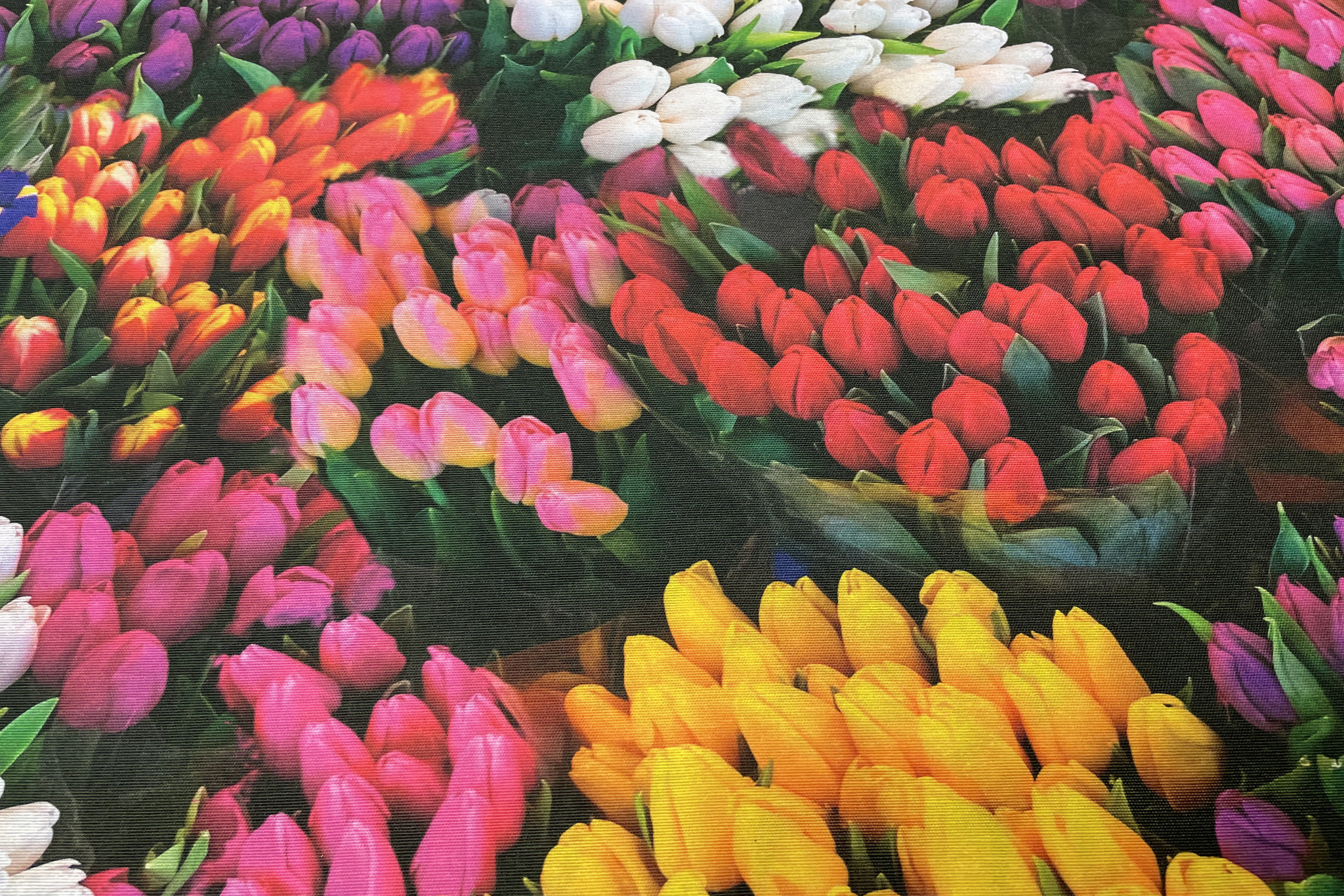 Decostof Tulpen