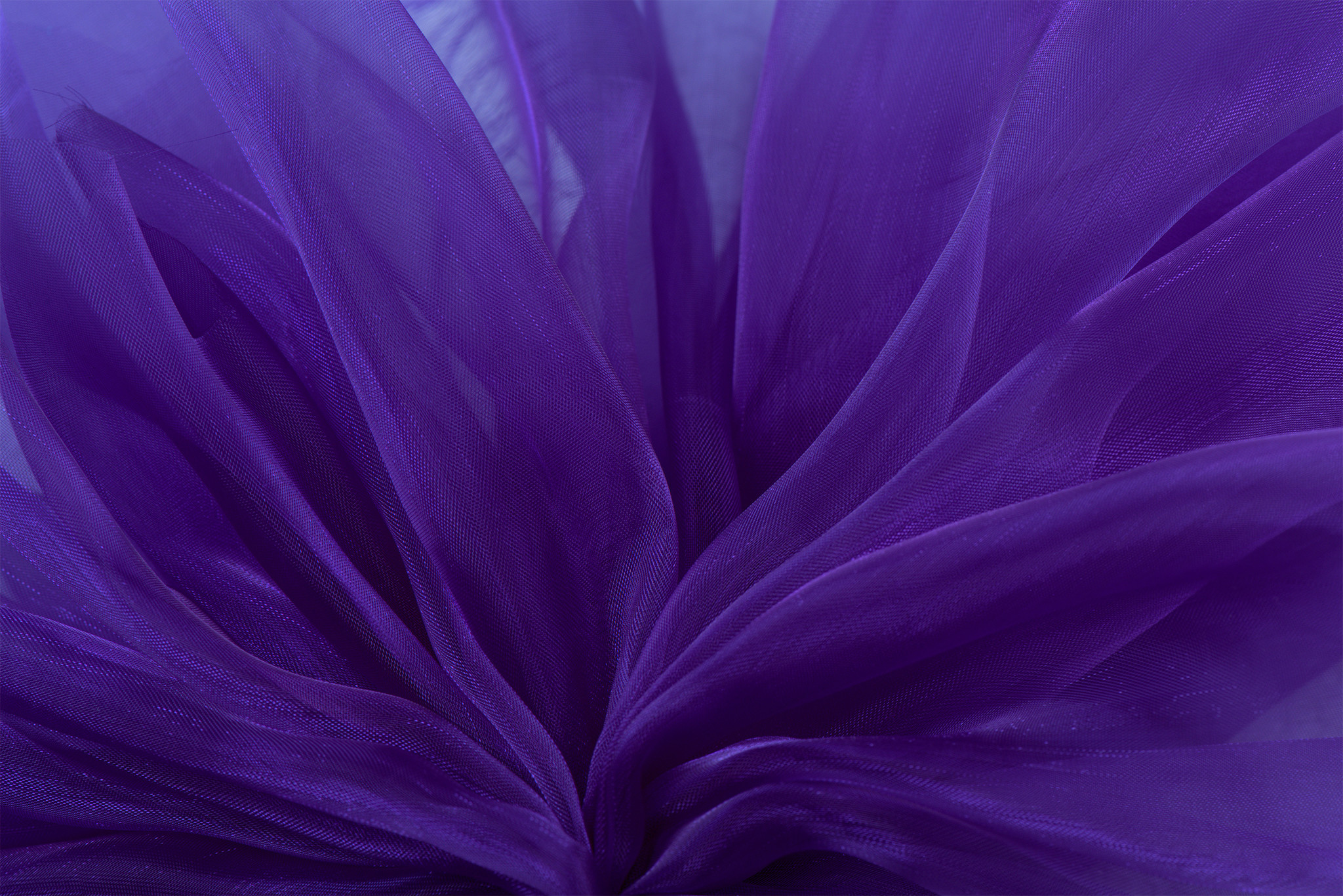 Organza Paars