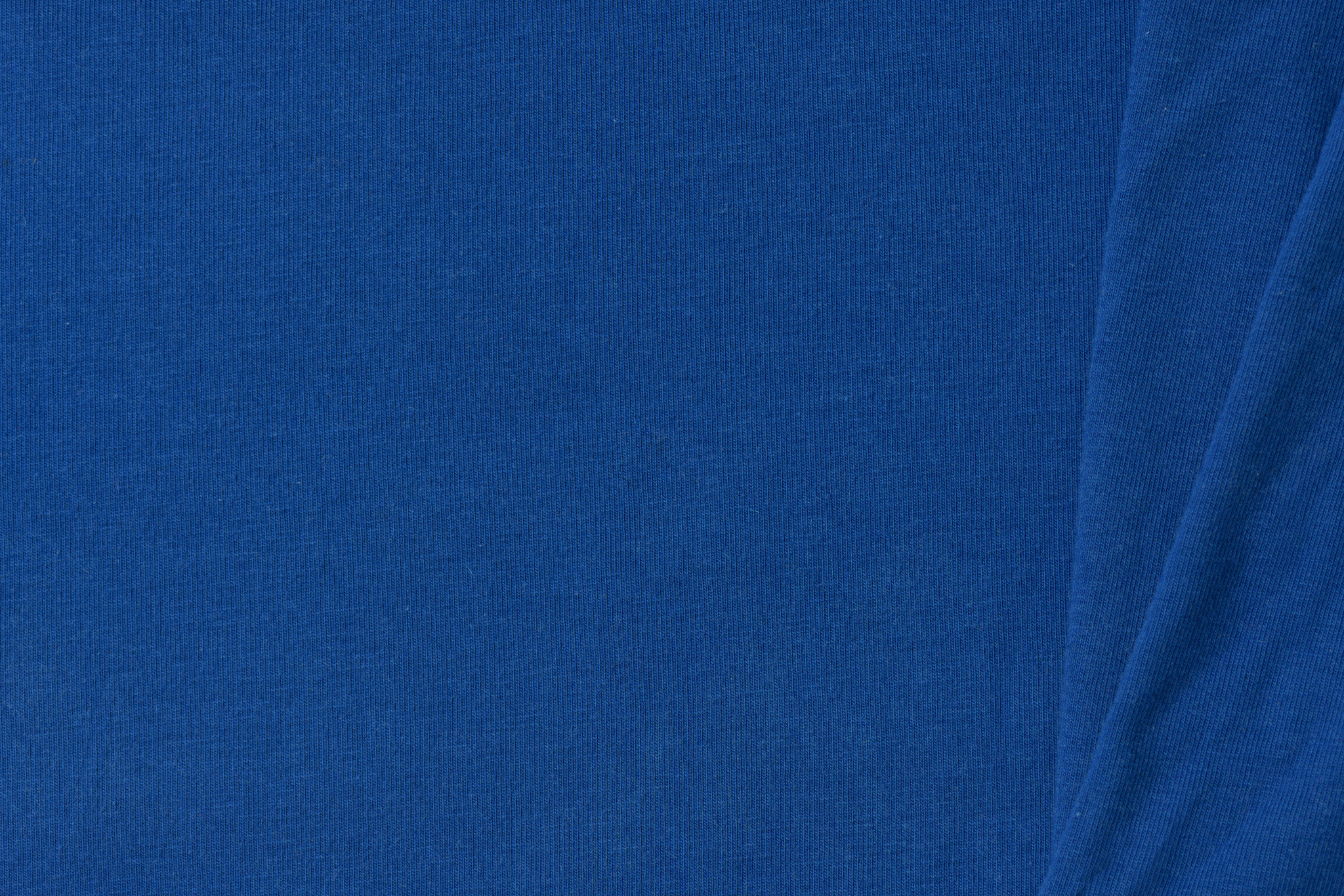 Organic Jersey Uni / Effen Kobaltblauw
