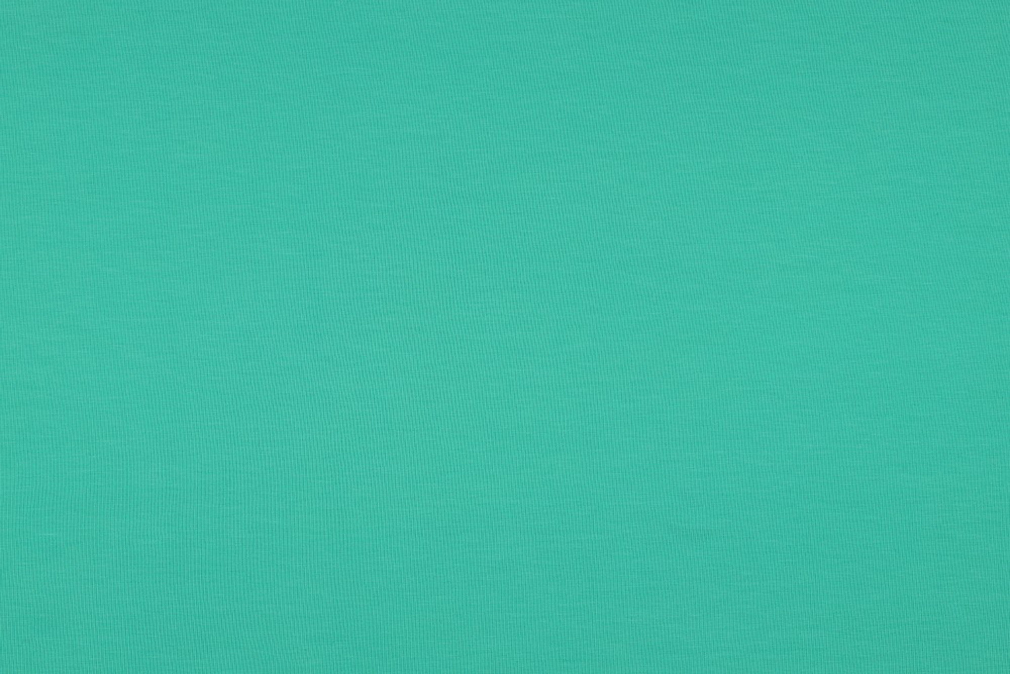 Organic Jersey Uni / Effen Green