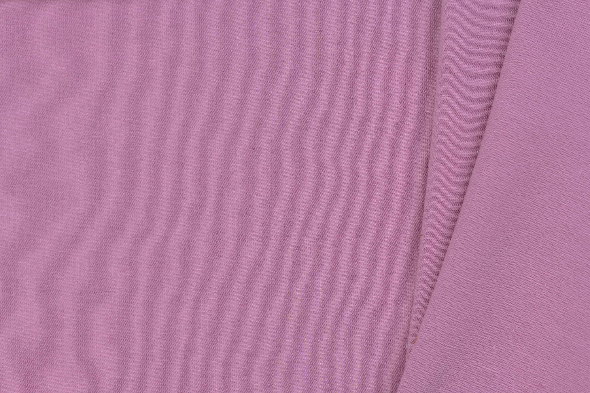 Organic French Terry Uni / Effen Lavender