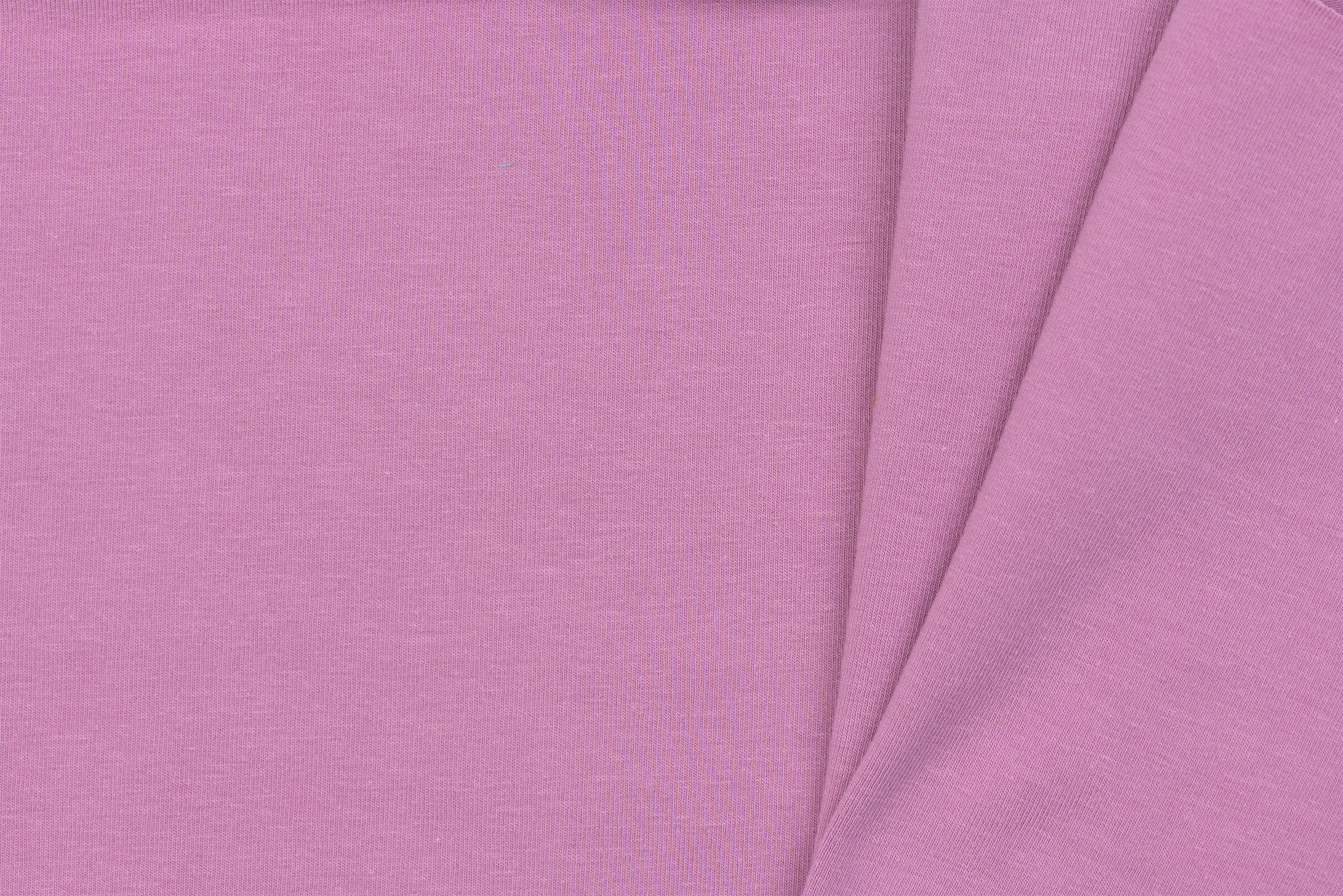 Organic Jersey Uni / Effen Lavender