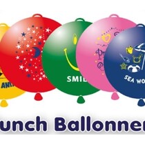 Punchballon met print 18 stuks 52cm