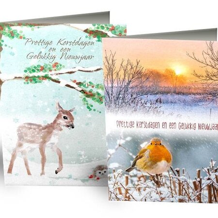 Happy Christmas cards in luxury pack 10 pieces