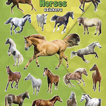 Pferde Aufkleber - 15x20 cm