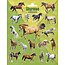 Horses Stickers - 15x20 cm