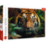 Trefl Puzzel 1.000 stuks - Wild Tiger