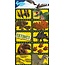 Funny Products Aufkleberbogen Dino 20x10cm