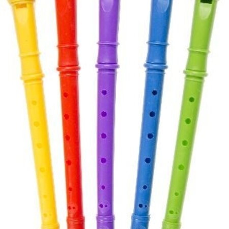 Recorder in tas 30cm