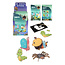 Insect Magic Colour Scratch Art Set 4